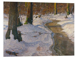 Tableau en PVC Winter forest with an icy brook