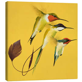 Canvas print Humming Birds