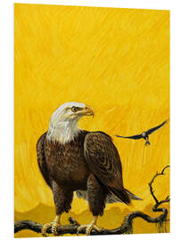 Quadro em PVC Eagle