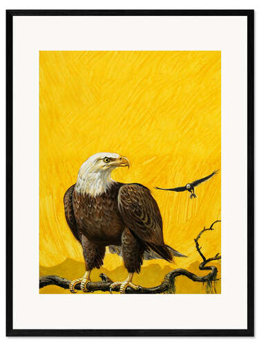 Kunsttryk i ramme Eagle