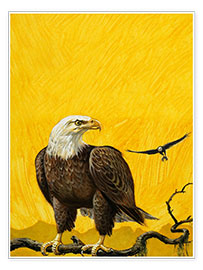 Poster Eagle