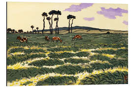Cuadro de aluminio Cows in the field of La Garde-Guérin (Saint-Briac)