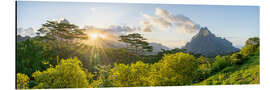 Print på aluminium Mont Rotui at sunset, Moorea, French Polynesia