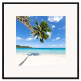 Impressão artística com moldura Coconut palm on the dream beach in the South Pacific