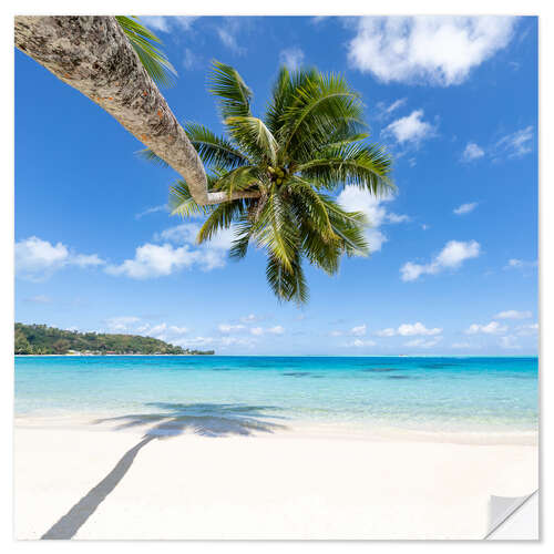 Selvklebende plakat Coconut palm on the dream beach in the South Pacific