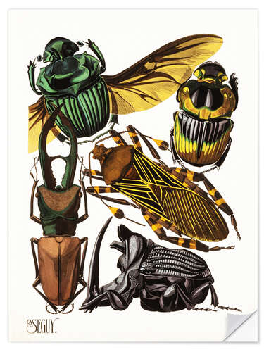 Wall sticker Insects, beetles