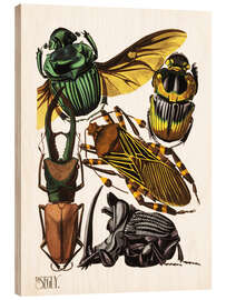 Stampa su legno Insects, beetles