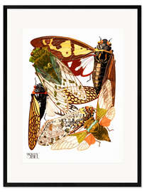 Kunsttryk i ramme Insects