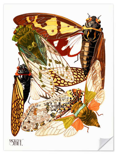 Wall sticker Insects