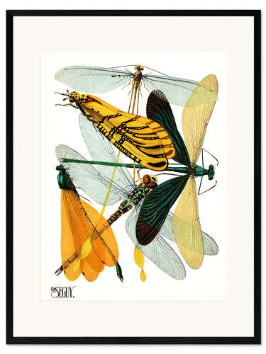 Kehystetty taidepainatus Dragonflies
