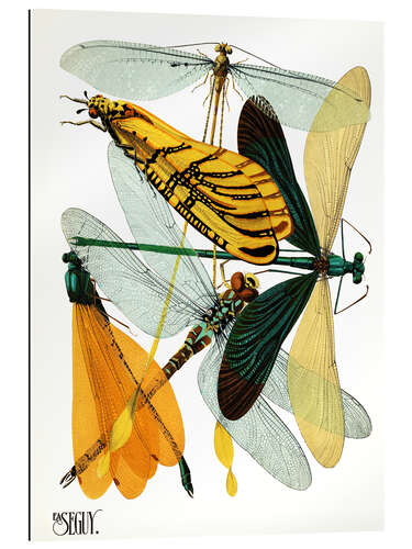 Galleriprint Dragonflies