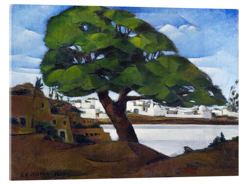 Acrylglasbild Die Alte Sycamore