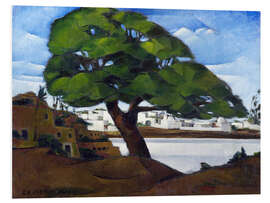 Foam board print The old Sycamore