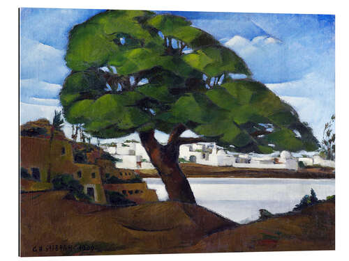 Quadro em plexi-alumínio The old Sycamore