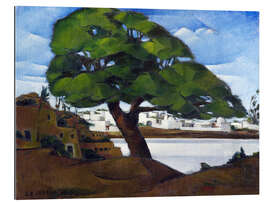 Gallery print The old Sycamore