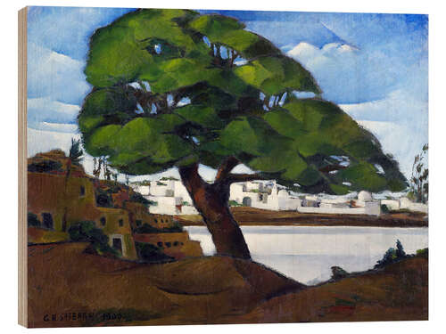 Puutaulu The old Sycamore
