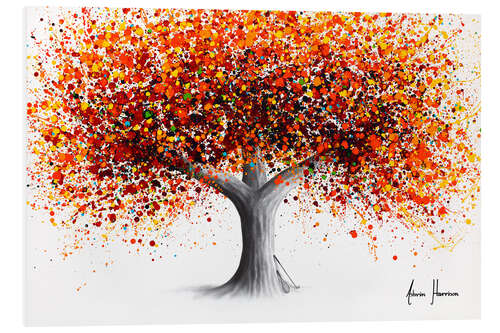 Foam board print Orange Jaffa Tree