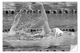 Sticker mural Womens Back Stroke, Commonwealth Games in Melbourne Australia, 2006