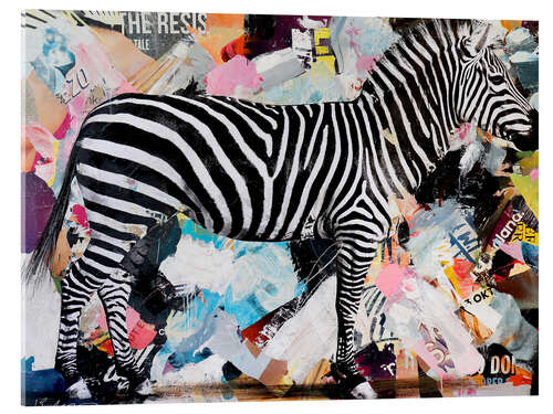 Acrylic print Pop Art Zebra