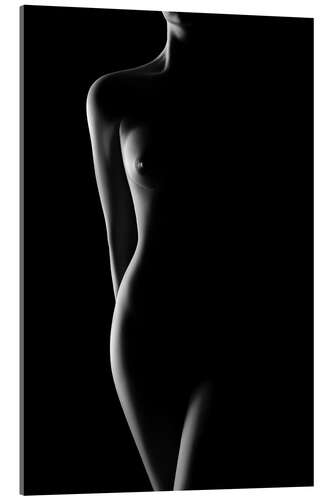 Acrylic print Night silhouette