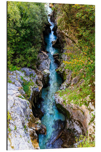 Aluminium print The Soca River in Slovenia winds through a deep valley