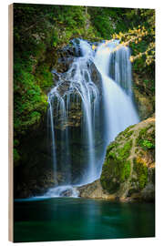 Print på træ Sum waterfall in Radovna valley, Vintgar Gorge, Slovenia