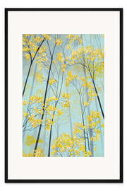 Gerahmter Kunstdruck Blühender Ahorn