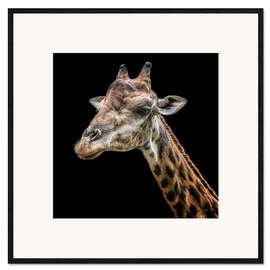Framed art print Giraffe portrait