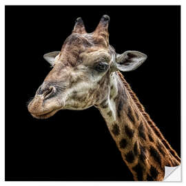 Vinilo para la pared Giraffe portrait