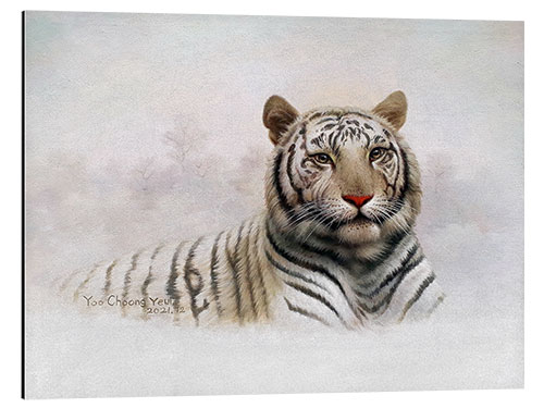 Obraz na aluminium White Tiger in the Snow