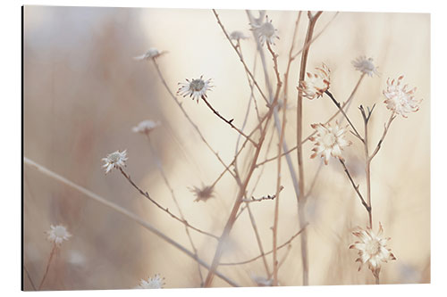 Tableau en aluminium Blossoms in the morning light of a foggy day