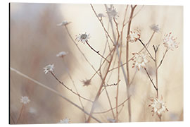 Tableau en aluminium Blossoms in the morning light of a foggy day