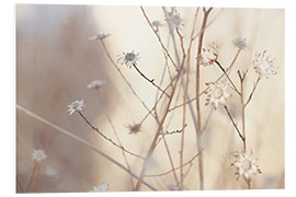 Foam board print Blossoms in the morning light of a foggy day