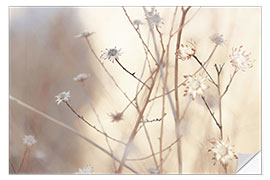 Adesivo murale Blossoms in the morning light of a foggy day