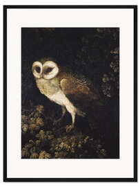 Gerahmter Kunstdruck Eine Eule