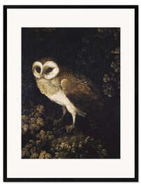 Impression artistique encadrée An Owl