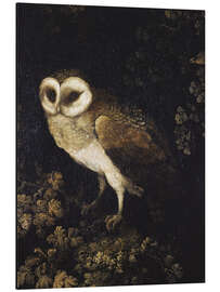 Magnettafel Eine Eule