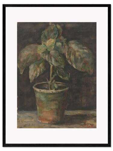 Impresión de arte enmarcada A Pot Plant