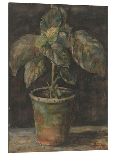 Gallery print A Pot Plant