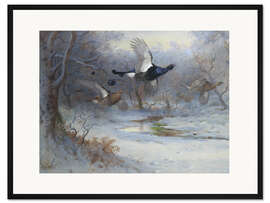 Gerahmter Kunstdruck Birkhahn und Moorhuhn im Flug