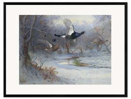 Framed art print Blackcock And Grouse in Flight