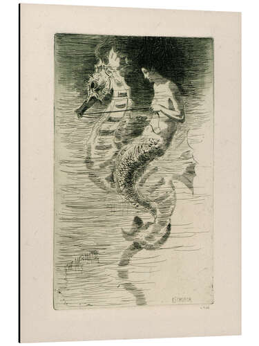 Aluminium print The Mermaid