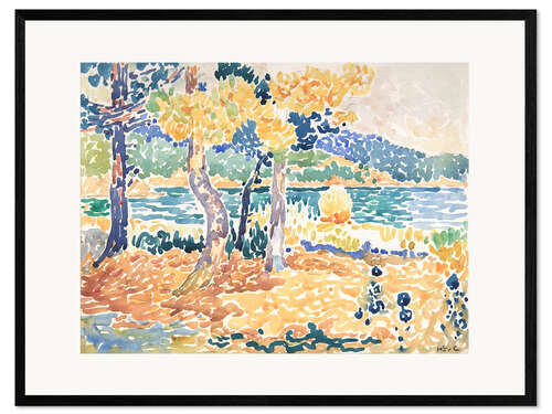 Gerahmter Kunstdruck Kiefern an der Küste