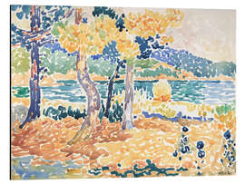 Magnettafel Kiefern an der Küste