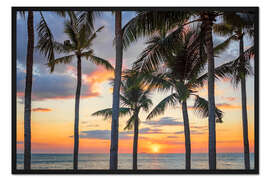 Gerahmter Kunstdruck Tropischer Sonnenuntergang