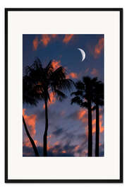 Gerahmter Kunstdruck Tropische Nacht