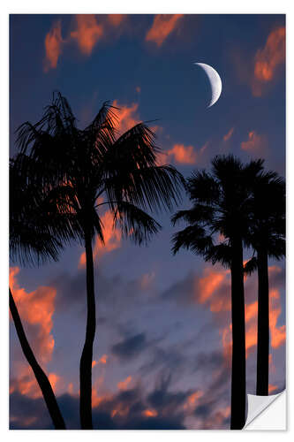 Wall sticker Tropical Night