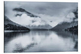 Tableau en aluminium Plansee