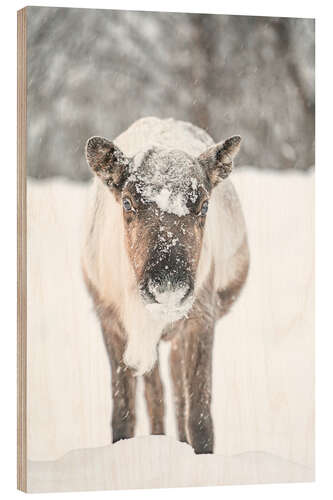 Wood print Reindeer in the Snow