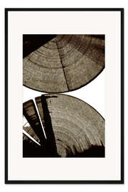 Gerahmter Kunstdruck Querschnitt des Baumes